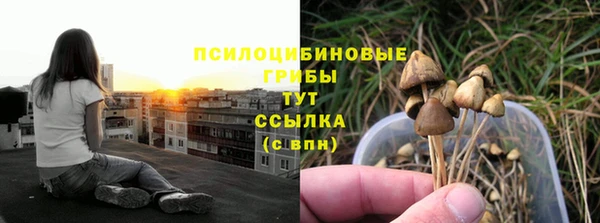 МДПВ Арсеньев