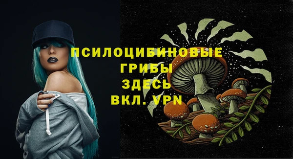 МДПВ Арсеньев