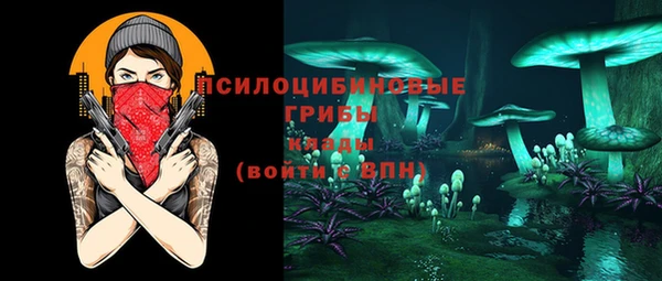 прущий лед Аркадак