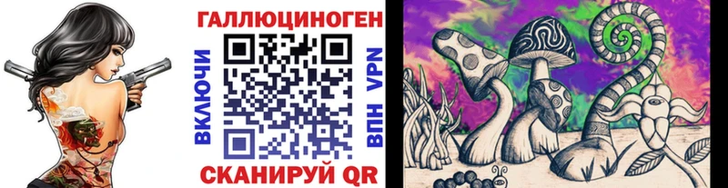 Псилоцибиновые грибы Magic Shrooms  Карачаевск 