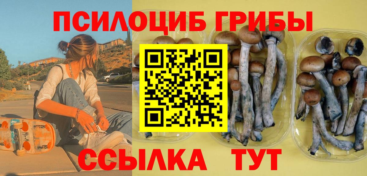 продажа наркотиков  Галлюциногенные грибы Cubensis  Вход с VPN  Галлюциногенные грибы GOLDEN TEACHER  Карачаевск 